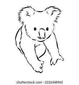 Animales de oso Koala en el bosquejo de árbol grabando ilustración vectorial. Imitación del estilo de la tabla de rayas. Imagen dibujada a mano en blanco y negro.