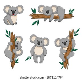 Koala bear. Australia animal. Cute Koala Seven Poses Cartoon Vector Illustration