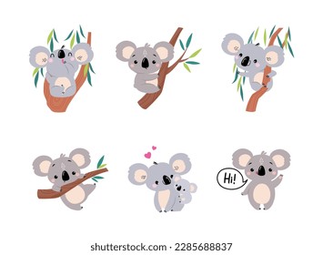 Koala Bear as Australian Animal on Eucalyptus Branch and with Baby Vector Set