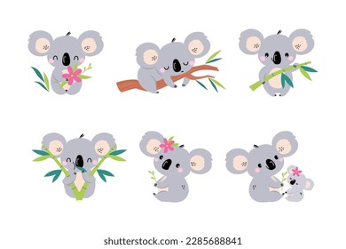 Premium Vector  Kawaii cute vector koala cartoon style drawing illustration