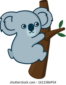 koala bear australian nature vector