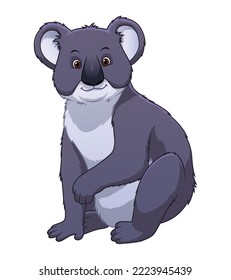 Koala Bear Cartoon Animal Illustration