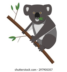 Koala bear eating eucalyptusleaves. Flat style EPS10 vector illustration