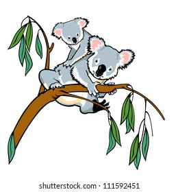 koala bear with joey climbing eucalyptus tree ,vector picture isolated on white background