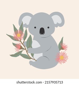 Koala Bear Native Australian Animals Eucalyptus Gum Blossom Flower Leaves