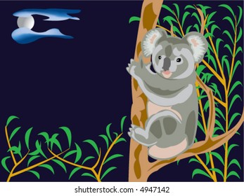 koala bear on a eucalyptus tree in the night