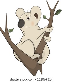 Koala bear on a tree. Cartoon