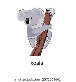 Koala bear on a tree. Vector illustration