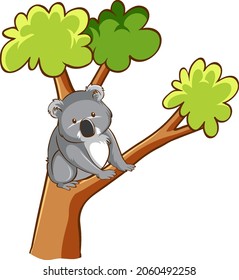Koala bear on a tree on white background illustration