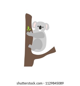 Koala bear on the white background, Vector illustration