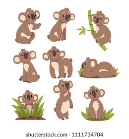 Koala bear set, Australian marsupial animal character in different situations vector Illustrations on a white background