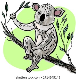 Koala bear sits on a branch and eats eucalyptus leaves. Vector illustration.

