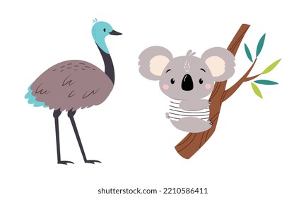 Koala Bear Sitting on Eucalyptus Branch and Emu as Australian Animal Vector Set