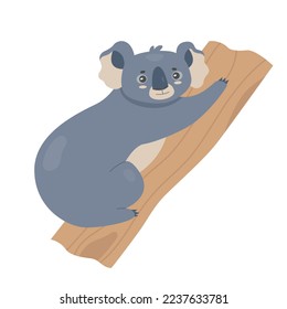 Koala bear sitting on tree. Australian mammal, arboreal marsupial vector illustration