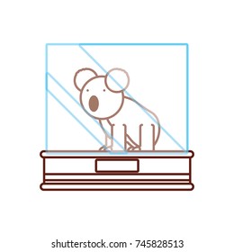  koala bear vector illustration