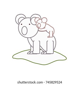 koala bear vector illustration