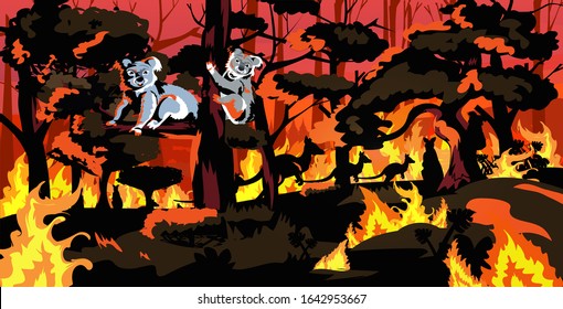 Koala Bears Sitting On Tree Forest Fires In Australia Animals Dying In Wildfire Bushfire Natural Disaster Concept Intense Orange Flames Horizontal Vector Illustration