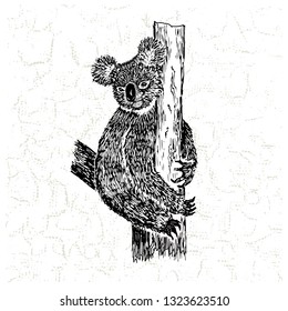 Koala black on background isolated. Koala graphic realistic line ink drawing. Hand-drawn illustration
 