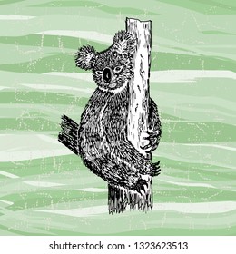 Koala black on background isolated. Koala graphic realistic line ink drawing. Hand-drawn illustration
 