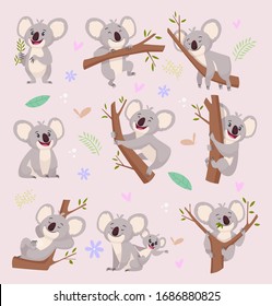 Koala characters. Wild bear australia cartoon furry animals vector illustrations