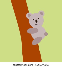 a koala climb on a tree