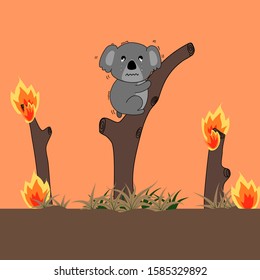 Koala climbing on a tree in fire forest, Animal on wildfire background.