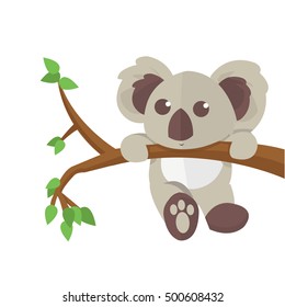 Royalty Free Koala Bear Stock Images Photos Vectors Shutterstock