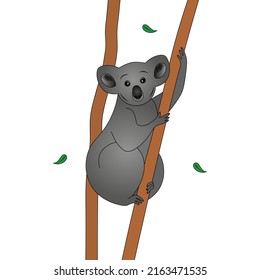 Koala. Color vector illustration. The animal embraced the dry eucalyptus trunk. Teddy bear from Australia. Green leaves fall to the ground. Isolated background. Cartoon style. Idea for web design.