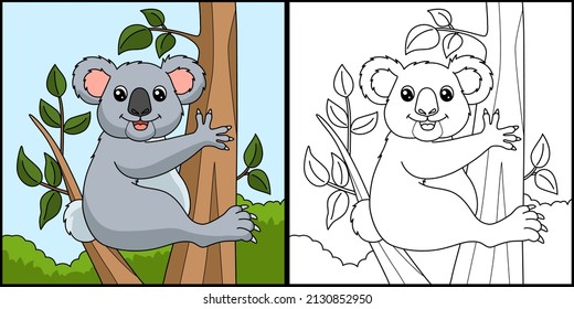 Koala Coloring Page Colored Illustration