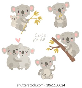 Koala, cute vector illustration