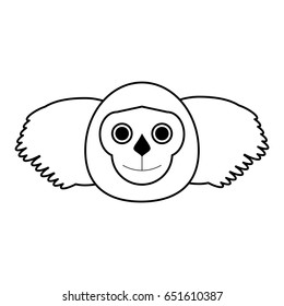 koala draw illustration