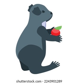 Koala eat apple icon isometric vector. Cute bear. Adorable animal