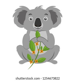 koala eating branch eucalyptus