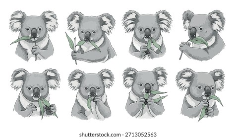 Koala eating eucalyptus leaves set with transparent background