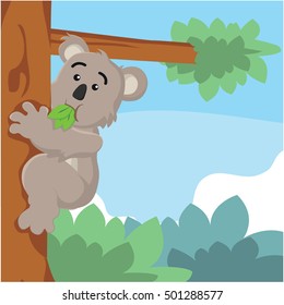 Koala Eating On Tree