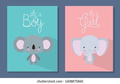 koala and elephant cartoon design, Baby shower invitation party card and decoration theme Vector illustration