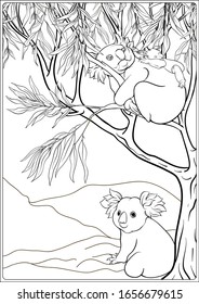Koala and eucalyptus. Coloring page for the adult coloring book. Outline hand drawing vector illustration..