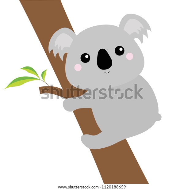 Tete De Koala Accrochee A L Eucalyptus Image Vectorielle De Stock Libre De Droits