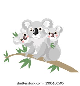 Koala Family On Wood Branch With Green Leaves. Australian Animal Funniest Koala Sitting On Eucalyptus Branch. Cartoon Vector Illustration. Koalas Are Not A Type Of Bear.