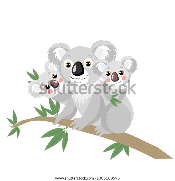 木の枝に緑の葉を持つコアラ科 ユーカリの枝に座るオーストラリアの動物で最もおかしいコアラ カートーンのベクターイラスト コアラはクマの一種ではない のベクター画像素材 ロイヤリティフリー