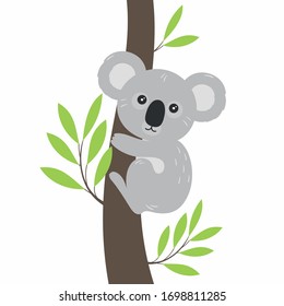 Koala in a flat cartoon style on a white background. Vector illustration