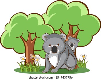 Koala in forest on white background illustration