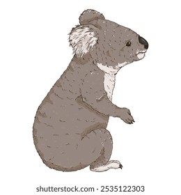 Ilustração de vetor de desenhos animados de corpo inteiro de Koala. Imagem do coala da vista lateral