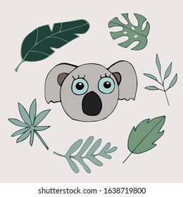koala hand drawn vector illustration with tropical leaves. Can be used for card, mug, brochures, poster, t-shirts etc.
