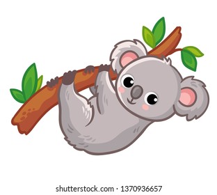 Koala hangs on a tree on a white background. Cute Australian animal in a cartoon style. Vector illustration.