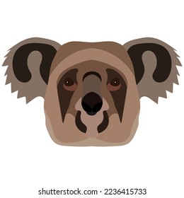 Koala head isolated on white background