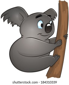Koala holding on to a branch