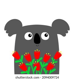 Koala holding red tulip flower bouquet. Cute kawaii cartoon character. Funny head face. Happy Valentines Day. Baby greeting card template. Notebook cover, tshirt. White background. Flat design. Vector