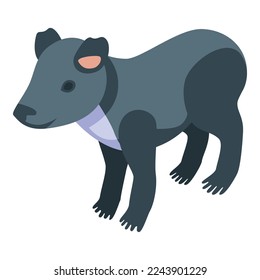 Koala icon isometric vector. Cute bear. Sleep native