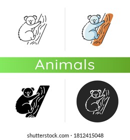 Koala icon. Linear black and RGB color styles. Cute herbivore animal, australian native fauna, exotic wildlife. Adorable koala bear sitting on eucalyptus tree isolated isolated vector illustrations